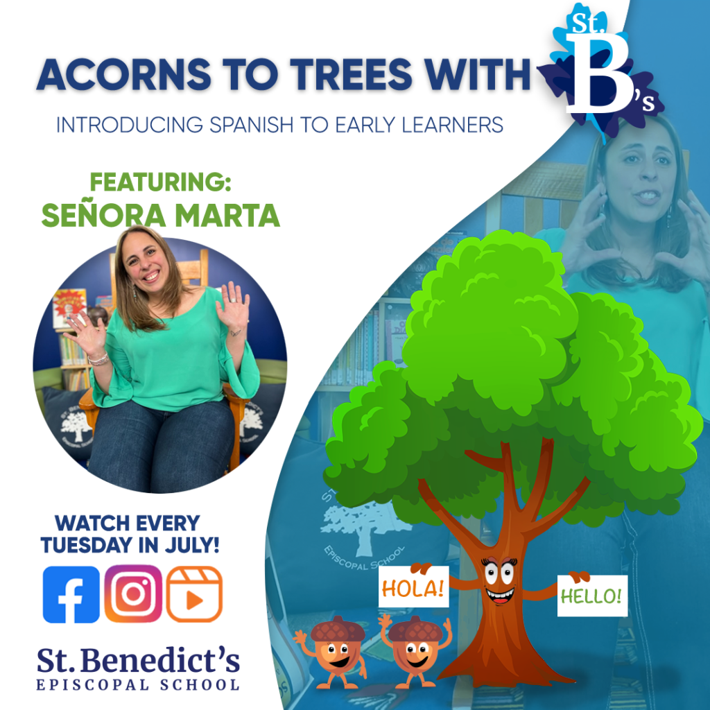 Acorns to Trees with St Bs