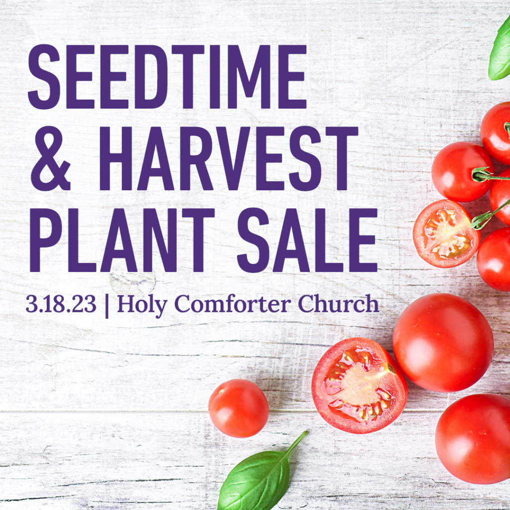 Plant Sale at Holy Comforter Church