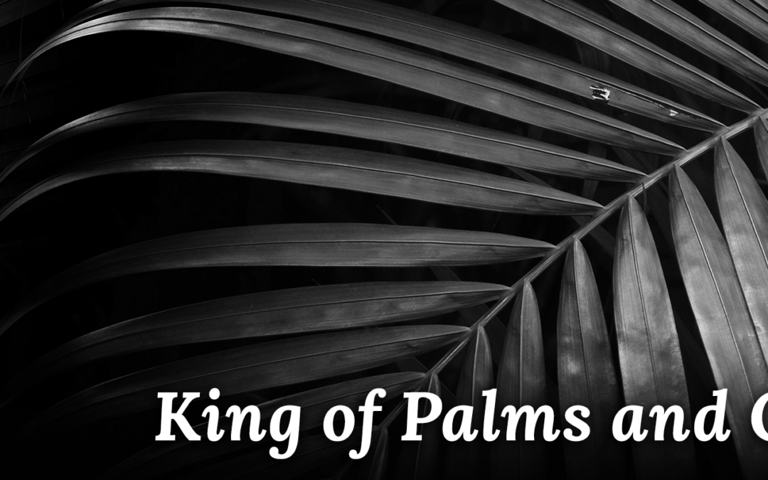 King of Palms and Curses