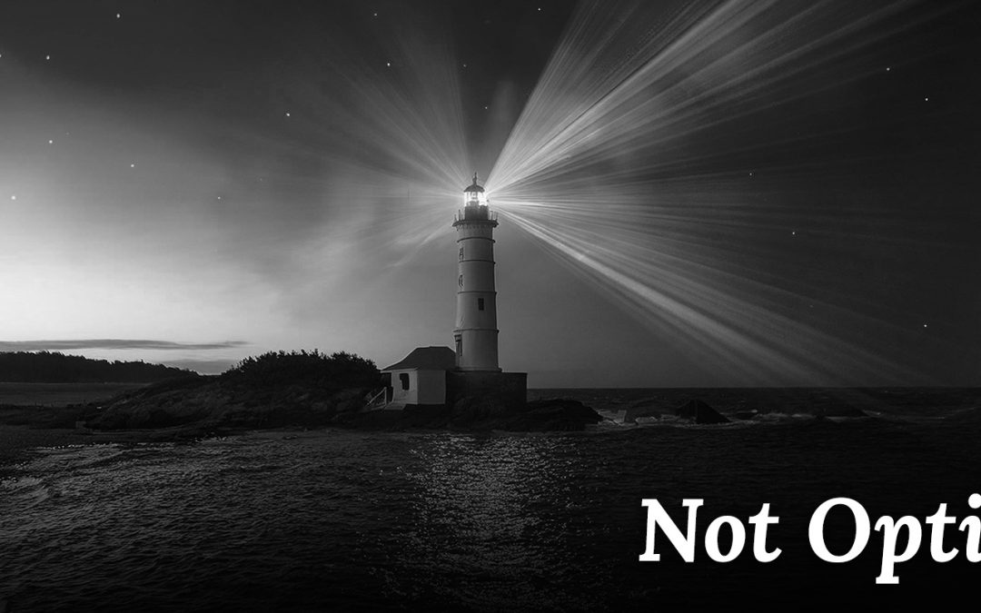 Not Optimism
