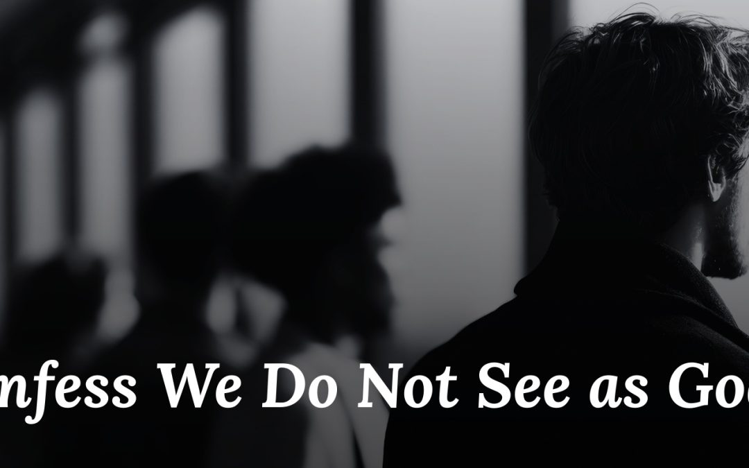 We Confess We Do Not See as God Sees