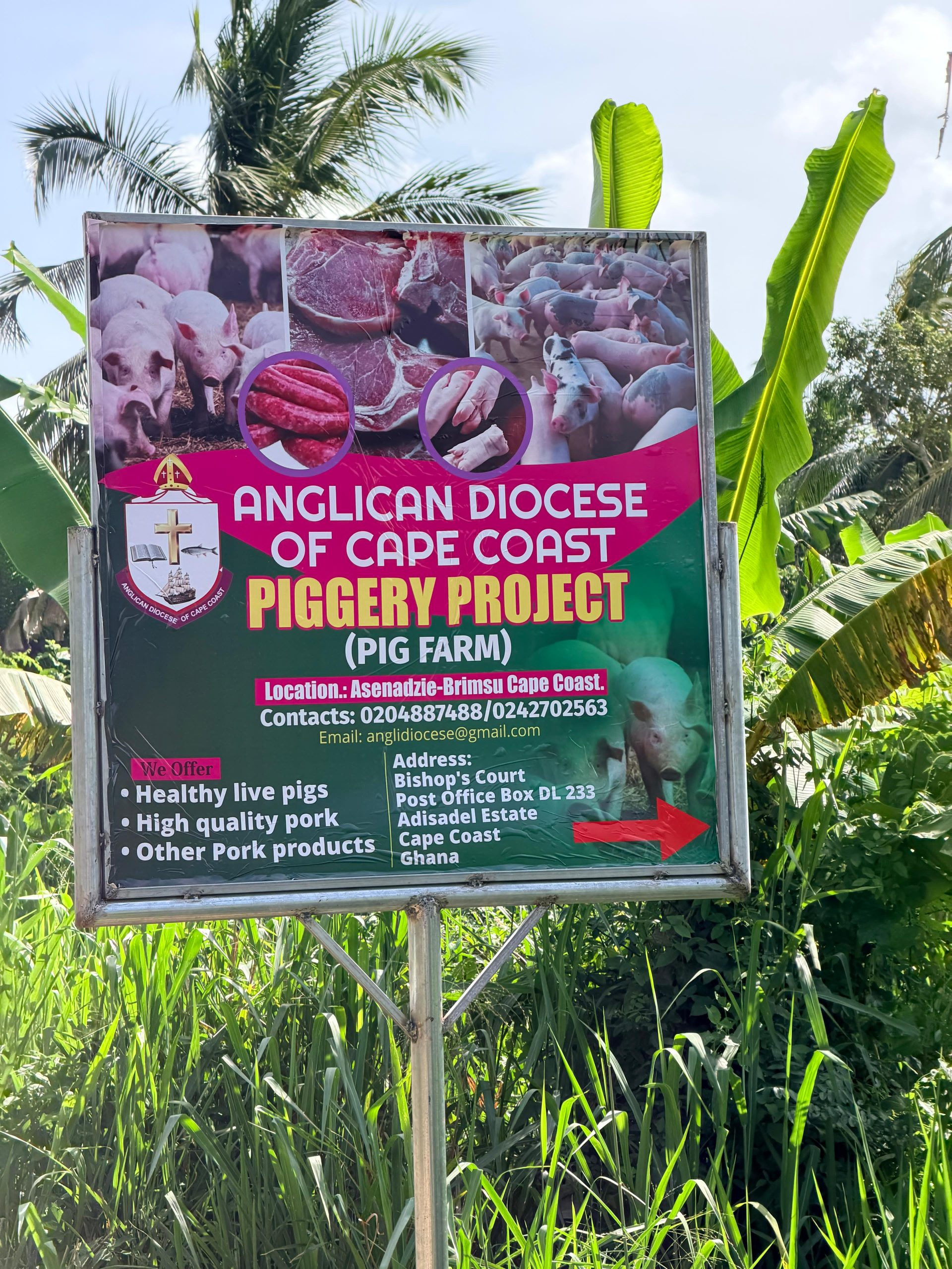 Piggery during the 2026 Ghana pilgrimage.