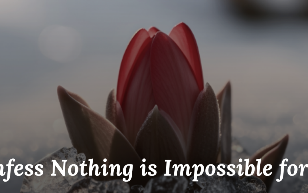 We Confess Nothing is Impossible for God