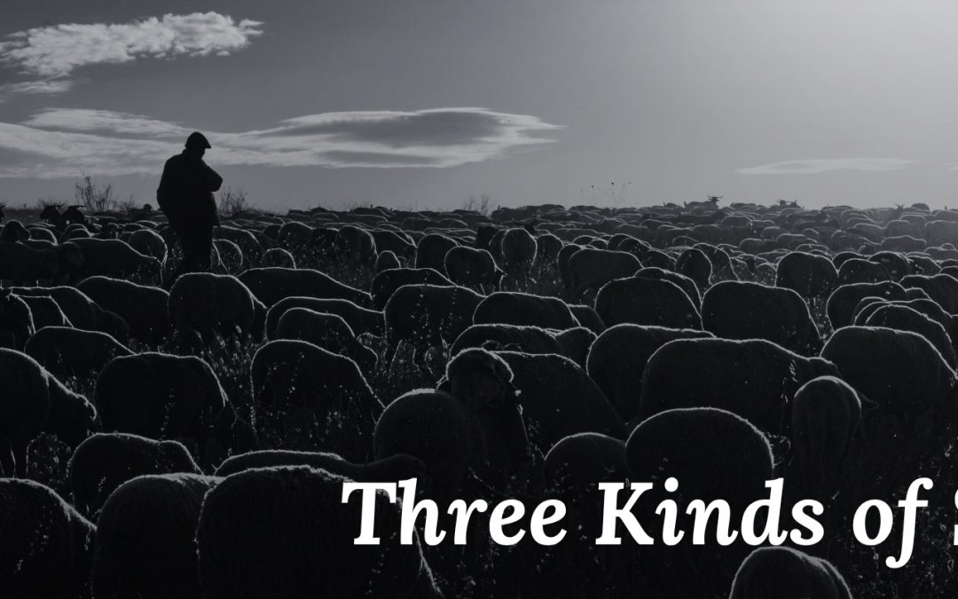 Three Kinds of Sheep